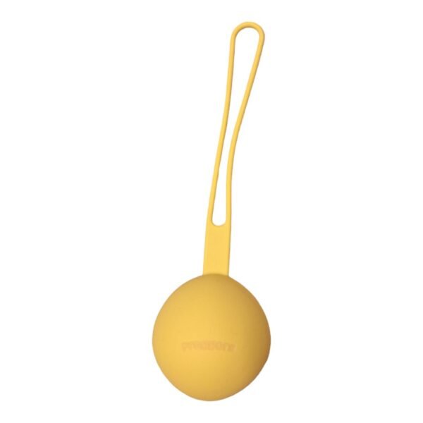 Pacifier case - Sunkissed