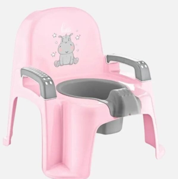 Chair potty